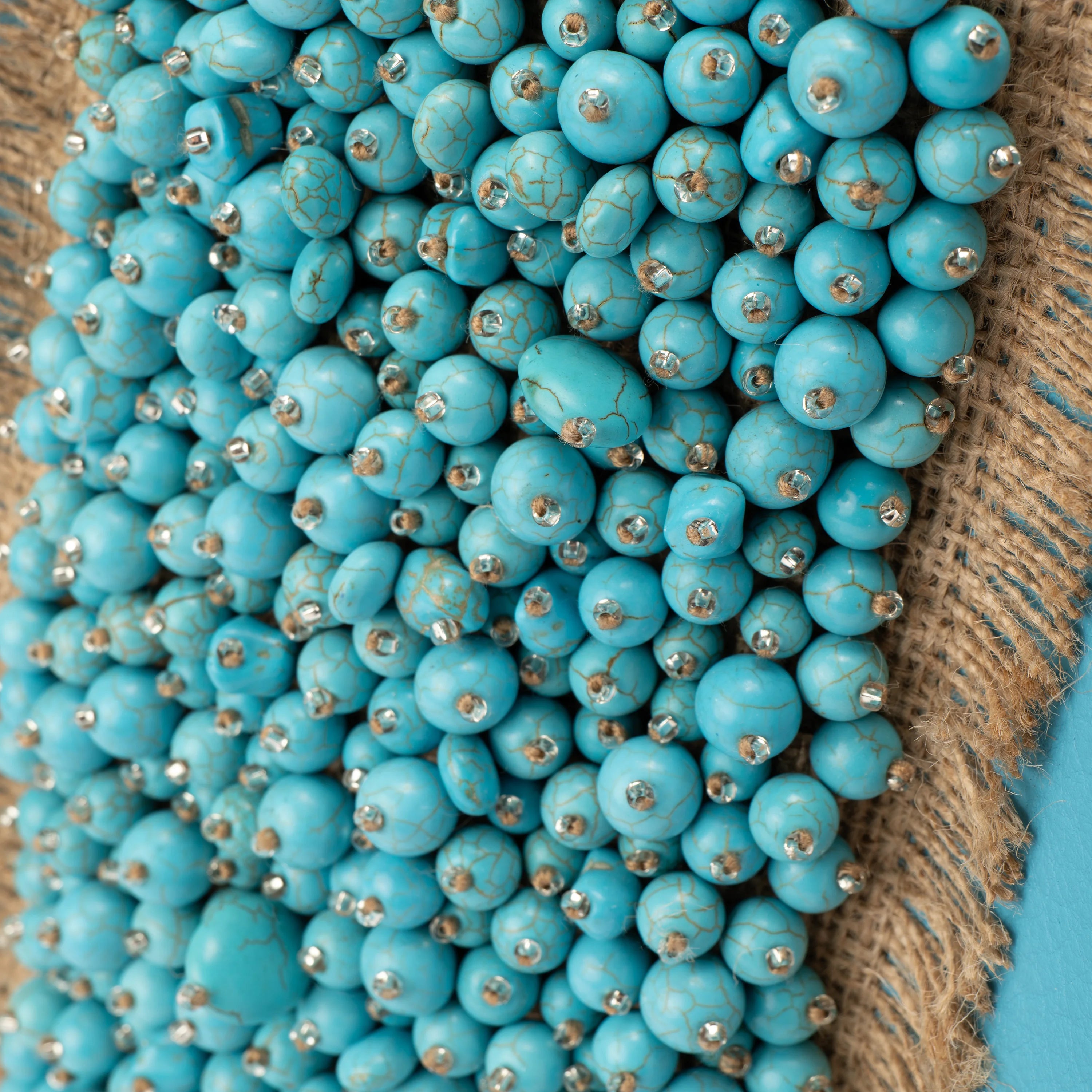 Corals
